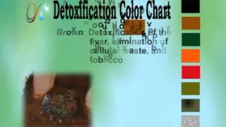 treatment & definition chart