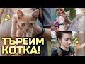 ТЪРСИМ КОТЕ! /МОРСКИ ПРЕЖИВЯВАНИЯ 2020 - ЧАСТ 4/