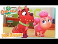 A swamp monster or muddy Pigoodle? 🐾 BRAND NEW Odd-Paw Vet Episodes 🐾 Family Kids Cartoons
