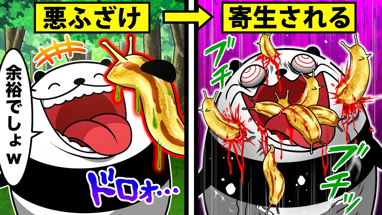 【実話】調子に乗ってナメクジを食べた男の末路がやばすぎた【アニメ】