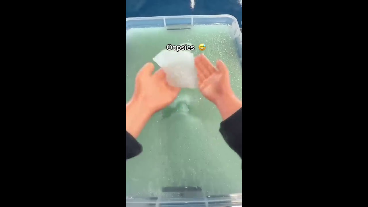 Using Tiny Hands With Slime 