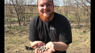 He Found a HUGE Bullet Spill Metal Detecting the Oregon Trail! Recent Hunts