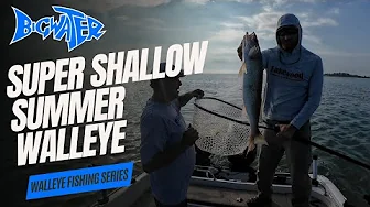 How to Fish Shallow SUMMER WALLEYES with a Very Unique Presentation