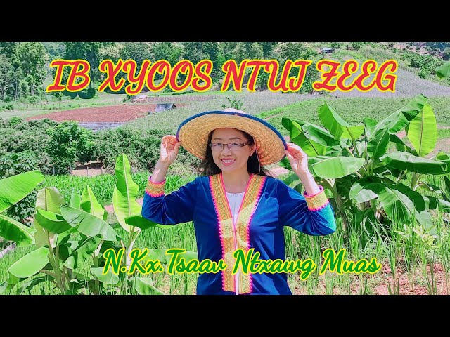 ib-xyoos-ntuj-zeeg-cover-n-kx-tsaav-ntxawg-muas