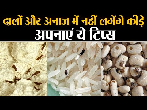 वीडियो: गॉगल्स को फॉगिंग से बचाने के आसान तरीके: 9 कदम