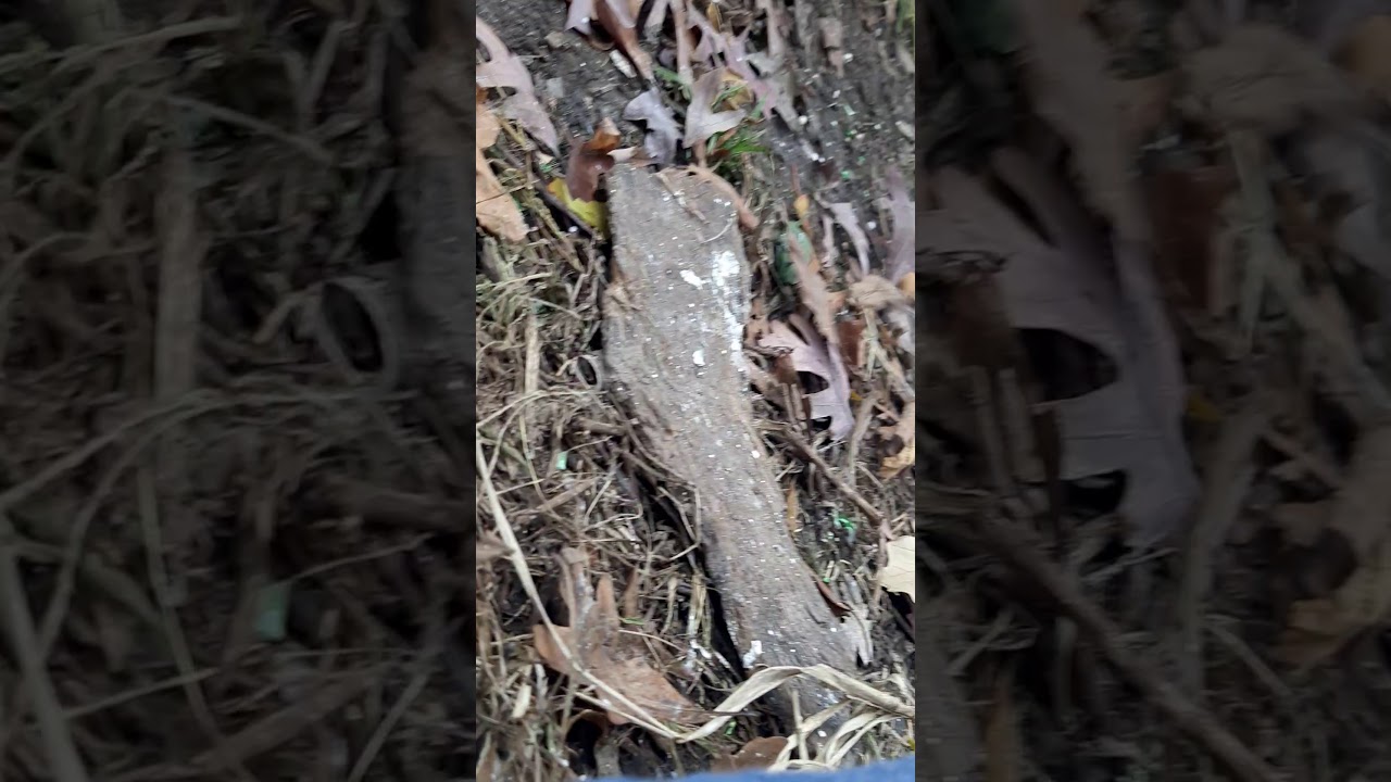 Paintball Vietnam map--20v20 up hill charge sh*t camera