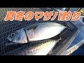 真冬のマサバ釣り☆ の動画、YouTube動画。