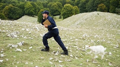 イタリア映画歴代興行収入トップ!『Viva!公務員』予告編