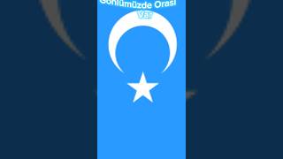 Doğu Türkistan#doguturkistan #china #sincan #turkey Resimi