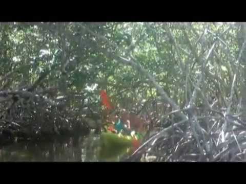 Florida Keys Kayaking in Islamorada