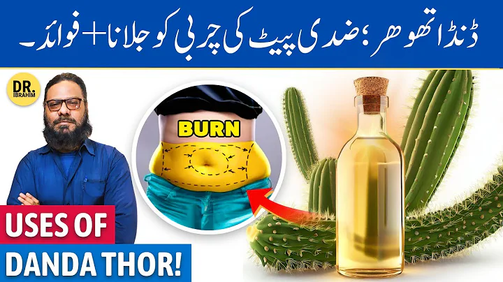 Danda Thorr Ke Fayde/Istemal | Danda Thor Benefits | Dr. Ibrahim