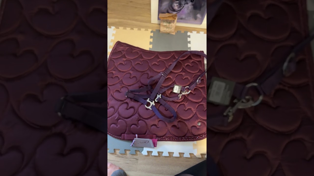 Reiterlive Haul 🐎🛍️🛒