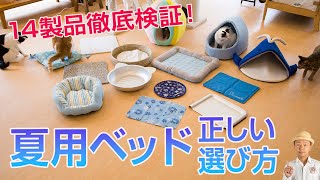 失敗しないネコの夏用ベッドやマットの選び方