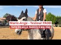 Marie-Ange a testé pour vous : Le Tapis de selle Paddock Big Pad