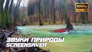 Живая природа - Река | Пейзаж | Звуки природы | Звуки реки | Шум воды | Белый шум | Релаксация | BKG