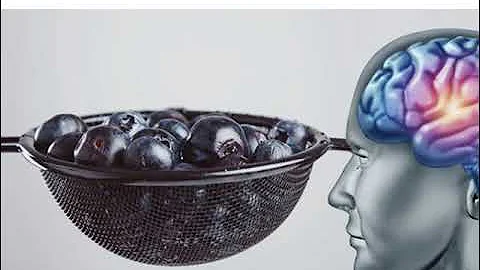 You Can Grow New Brain Cells, Regardless of Age. This is How!