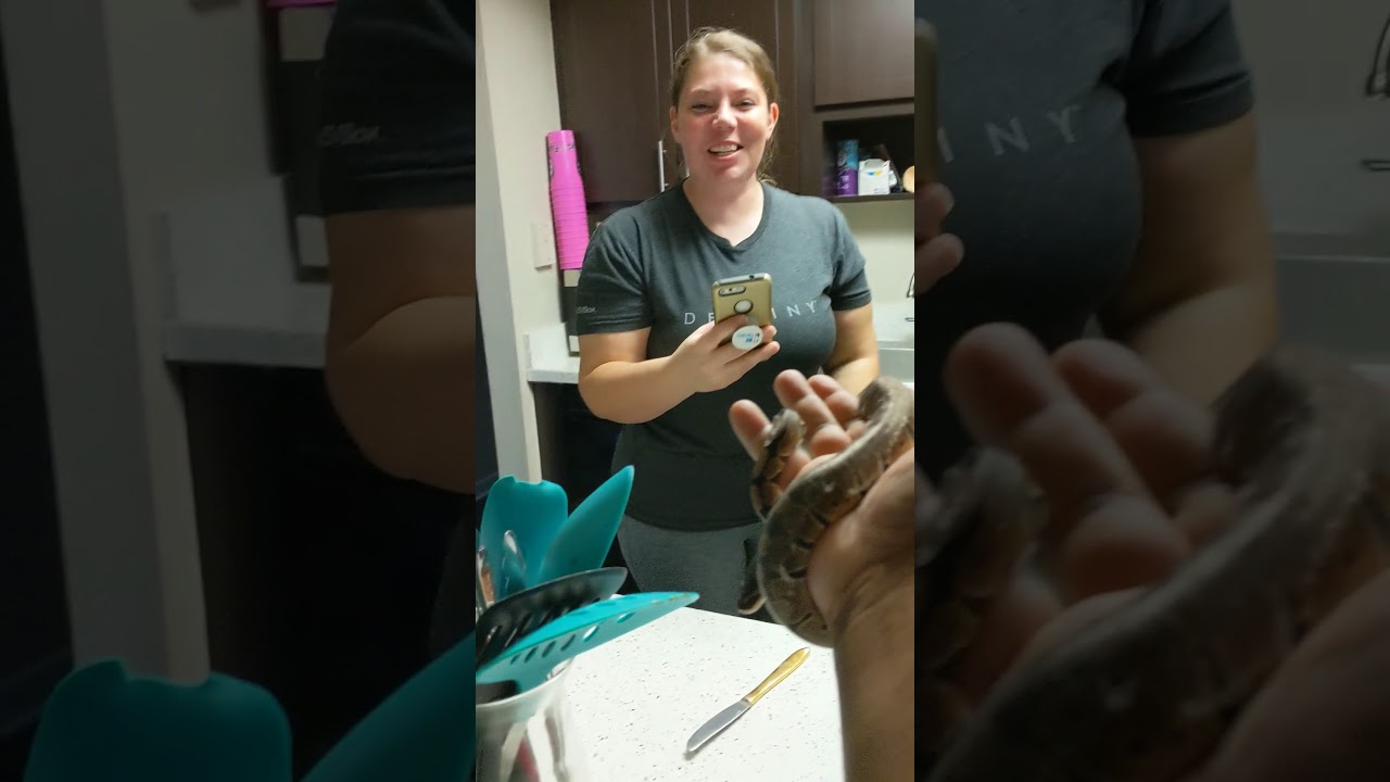interracial couples in hollywood Snake Attack Part 2