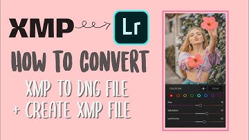 HOW TO IMPORT XMP PRESET FILE ON LIGHTROOM MOBILE