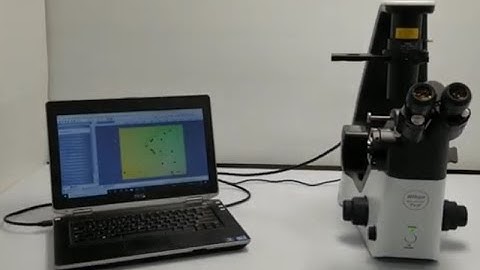 Nikon Eclipse Ts2 Inverted LED Phase Contrast Microscope [BOSTONIND] - 44288