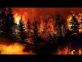 The Destruction Of The Canadian Wilderness: Epic Wildfires And Ecpyrosis