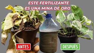 RESUCITA y CURA cualquier PLANTA ENFERMAS con este fertilizante casero 100% Orgánico