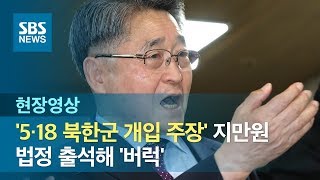 '5·18 북한군 개입 주장' 지만원 