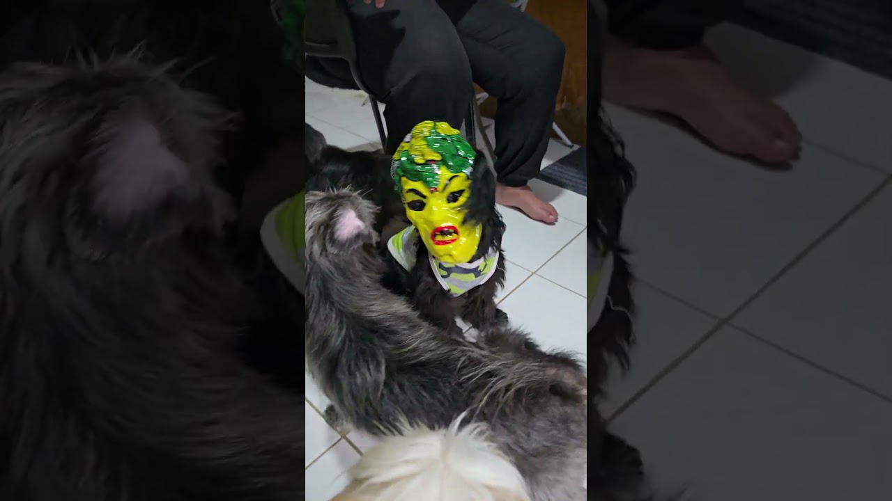 My Horo chan wearing a scary mask. Lol 🤣🤣