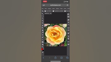 Colour Splash Effect in Photopea on iPhone Tutorial #shorts