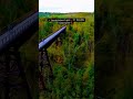 The Ultimate Kawartha Lakes Fall Guide | Hidden Gems, Hikes & Festivals #shorts