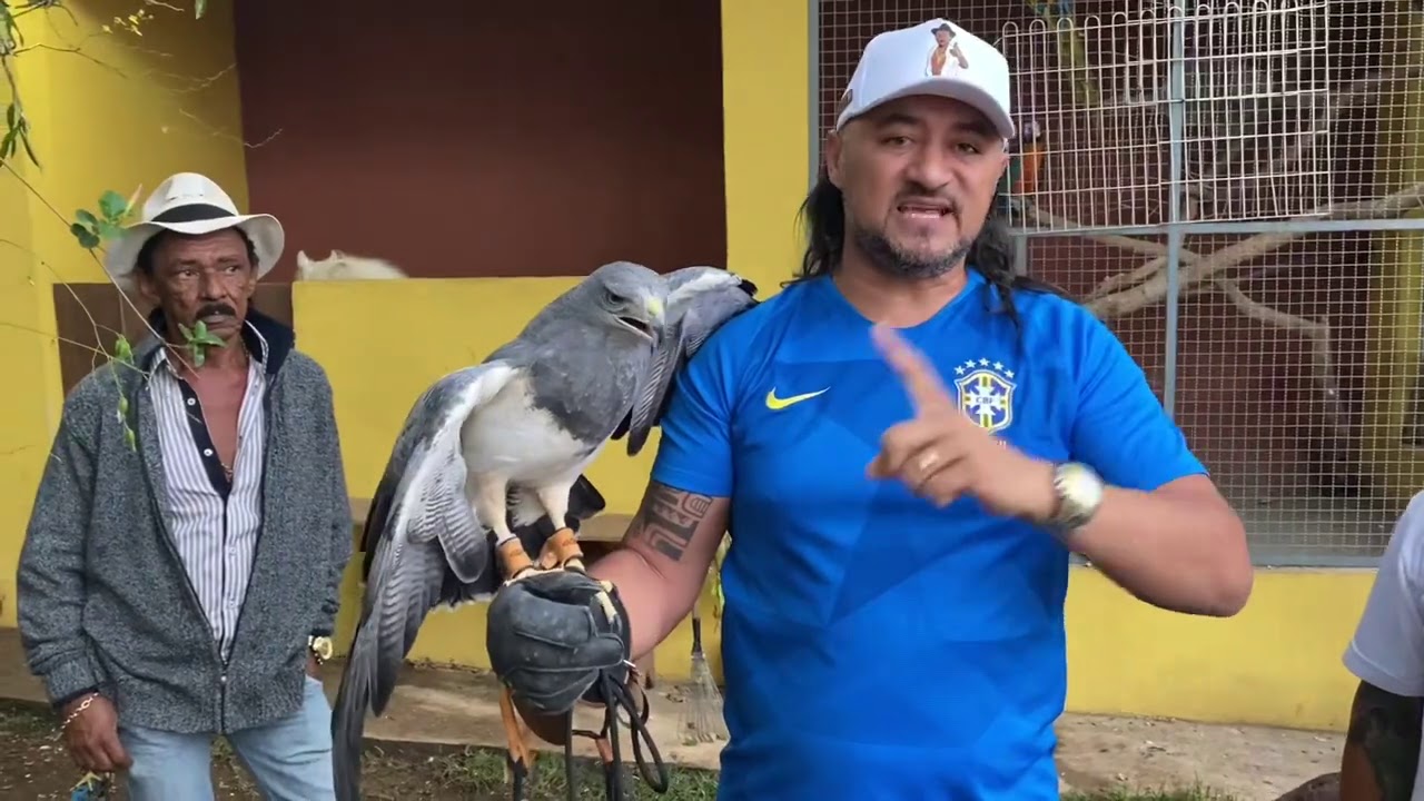 CHARLLES, TIRINGA E A ÁGUIA CHILENA | COMÉDIA SELVAGEM ®