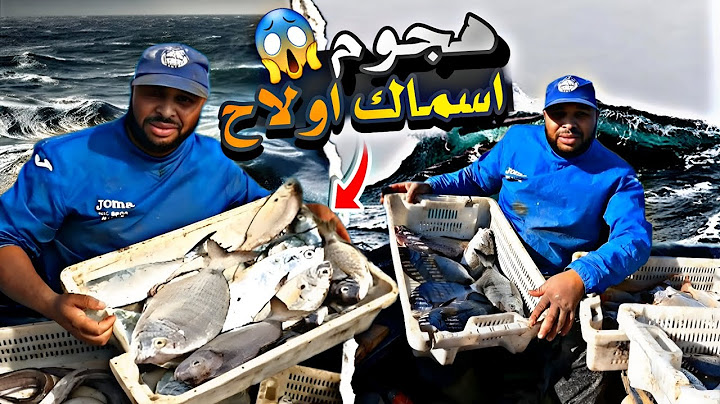 كفاح البحار: تحدي صيد مع قلت اسماك  في هد أشهر🤔 و هجوم اسماك اولاح 🐟على القروب، 