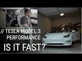 TESLA MODEL 3 PERFORMANCE REACTION 2018 | CASEY GOT SCARED!