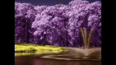 سورة الإسراء بصوت الشيخ إبراهيم الجبربن