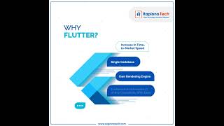 Flutter software screenshot 4