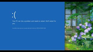 Celebrity Windows Client Server Runtime Process BSOD bug on Windows XP TaskManager Wealth