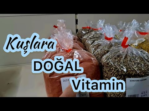 Kuşlara doğal vitamin!?