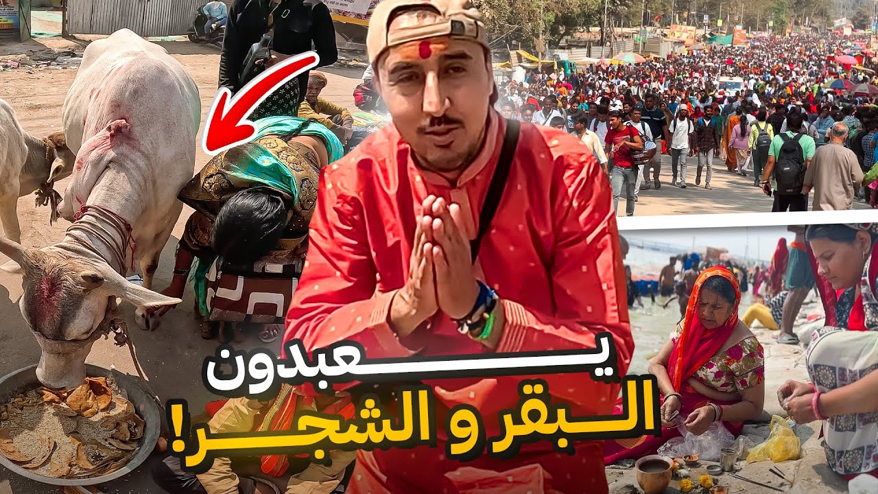 يعبدون البقر و الشجر… الحج الهندوسي 🇮🇳