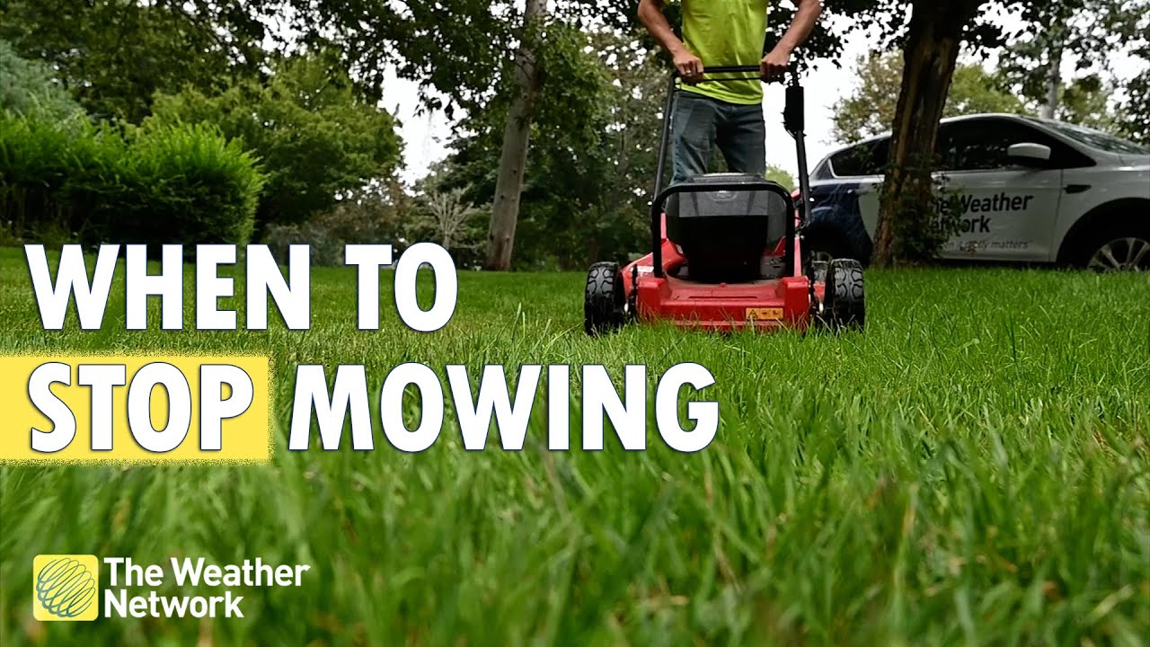 When To Stop Mowing Tips To Help Keep Your Lawn Healthy YouTube when-to-stop-mowing-tips-to-help-keep-your-lawn-healthy-youtube