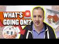 Investors Buying LESS Property… But Setting Up MORE Companies?!