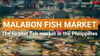 MALABON FISH MARKET | Largest fish market in the Philippines
