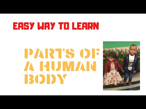 Parts of a human body | For kids | Ep -02 | മനുഷ്യശരീരത്തിലെ അവയവങ്ങൾ