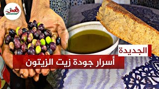 جني زيت الزيتون بدكالة.. مهني يكشف سر عملية العصر التقليدية وينتقد غياب تكوين الفلاحين