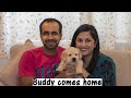 Bringing Home our 7 Weeks Old Labrador Puppy | First Day with Buddy (Hindi with English Subtitles)
