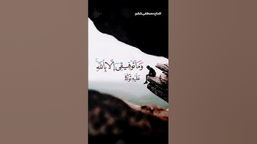 سورة هود | الحاج مصطفى شقير