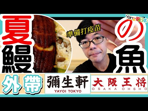 外帶【夏の鰻魚】日本人補體力的美食︱補充完準備打疫苗【YanTV一家吃日本】