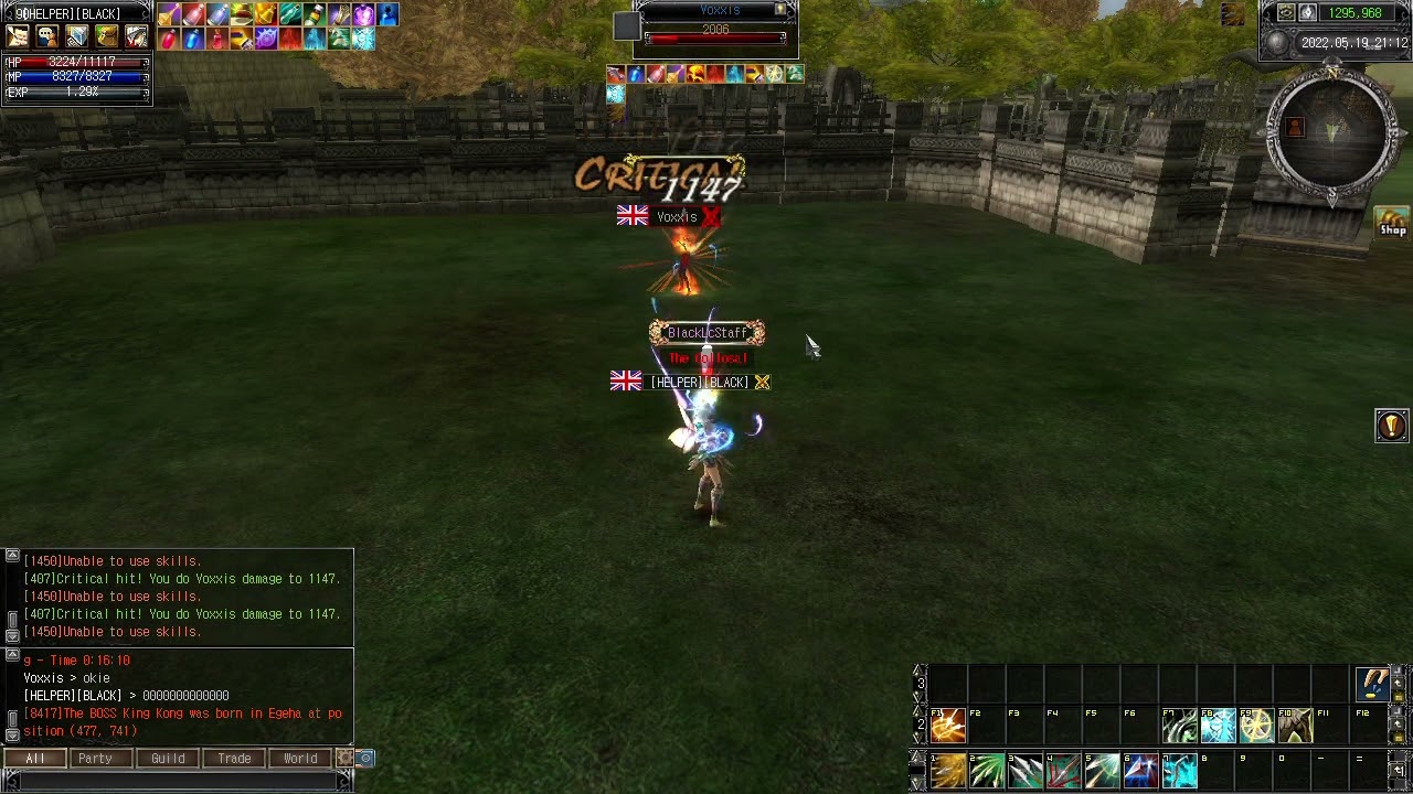 Let's play Last Chaos Black oldschool - Healer vs Healer