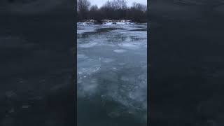 Зимняя рыбалка на реке Кан. Норка пришла в гости. Угостили рыбой. #поживёмполовим #рыбалка #кан