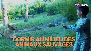 Dormir au milieu des animaux sauvages