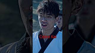 Cobra Kai Characters Vs Weak Hero Cl 1 Characters
