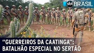 Batalhão do Exército é especializado em defender a Caatinga | SBT Brasil (29/04/23)